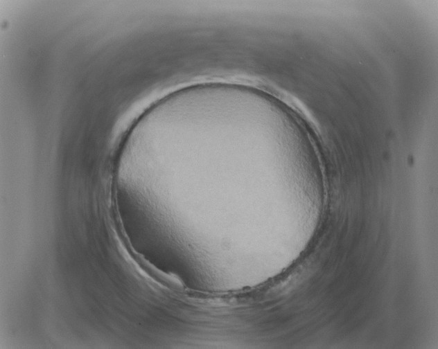 X0000084021504200703022043