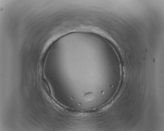 X0000084021506200703022043