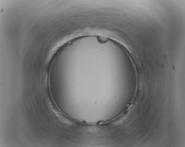 X0000084021507200703022043