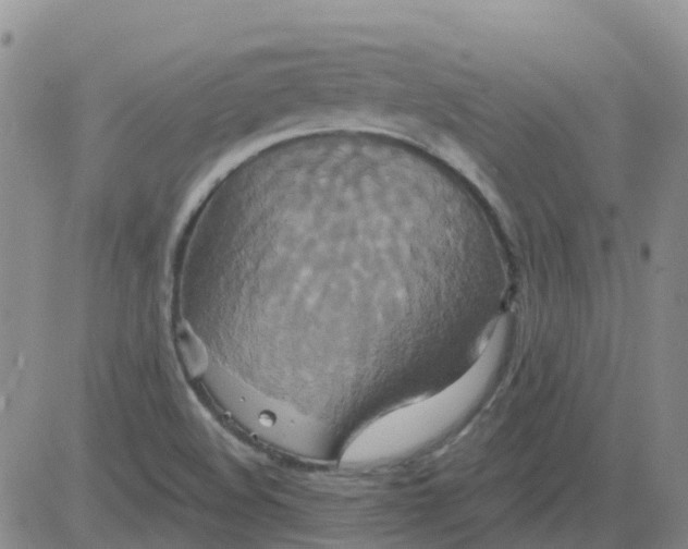 X0000084021508200703022043