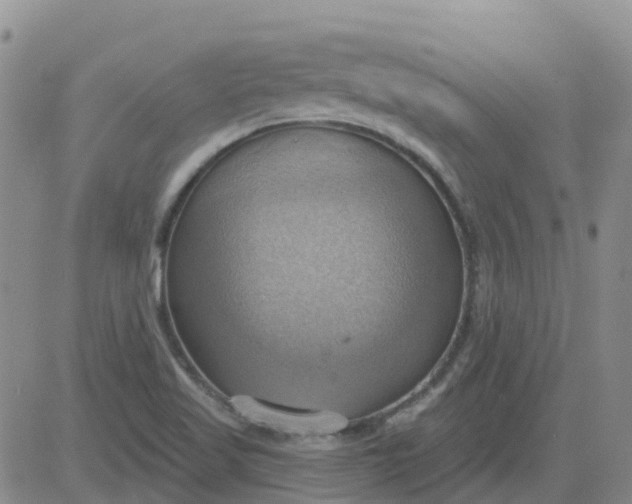 X0000084021509200703022044