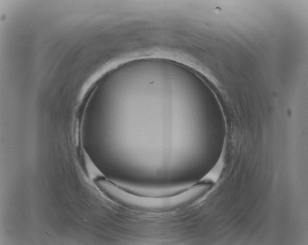 X0000084021510200703022044