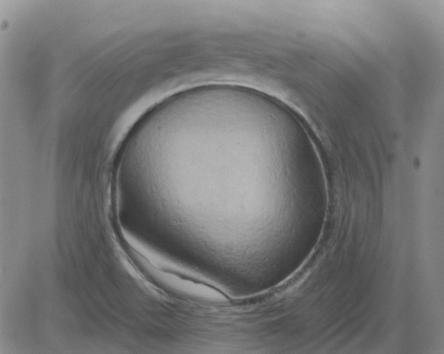 X0000084021511200703022044