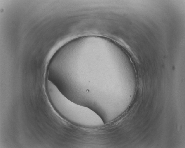 X0000084021512200703022044