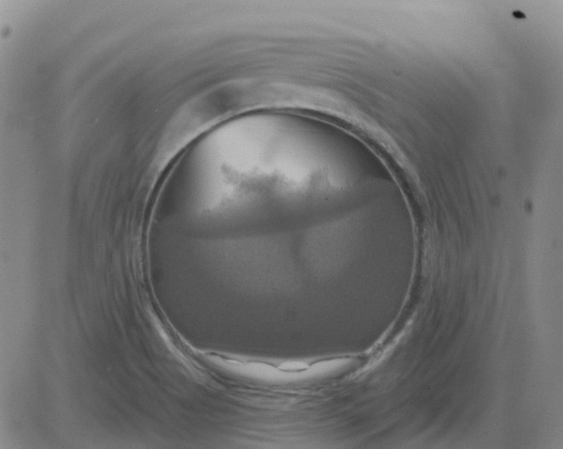 X0000084021513200703022044