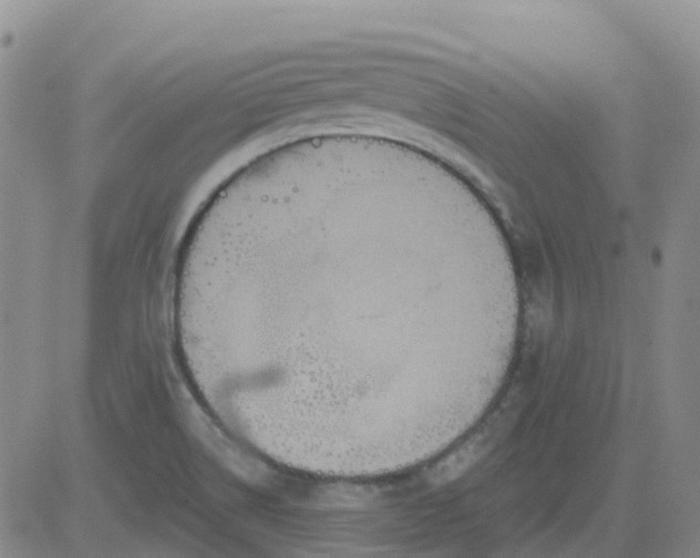 X0000084021514200703022044