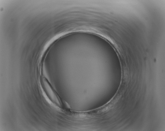 X0000084021515200703022044