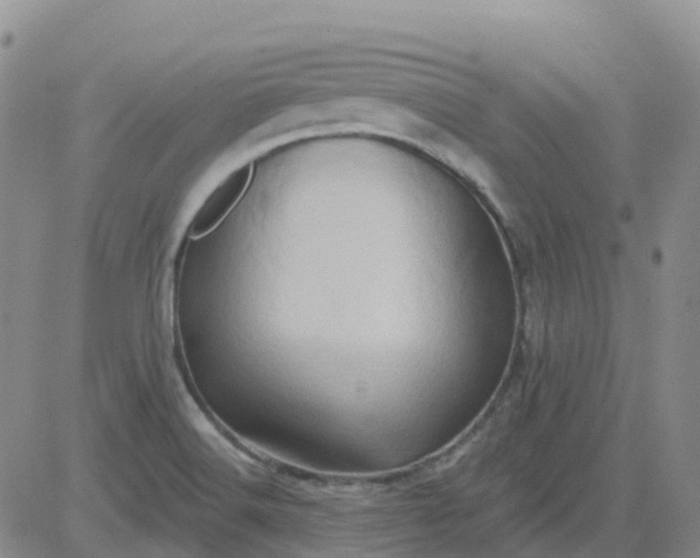 X0000084021516200703022044