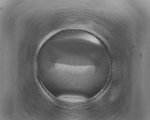 X0000084021517200703022044