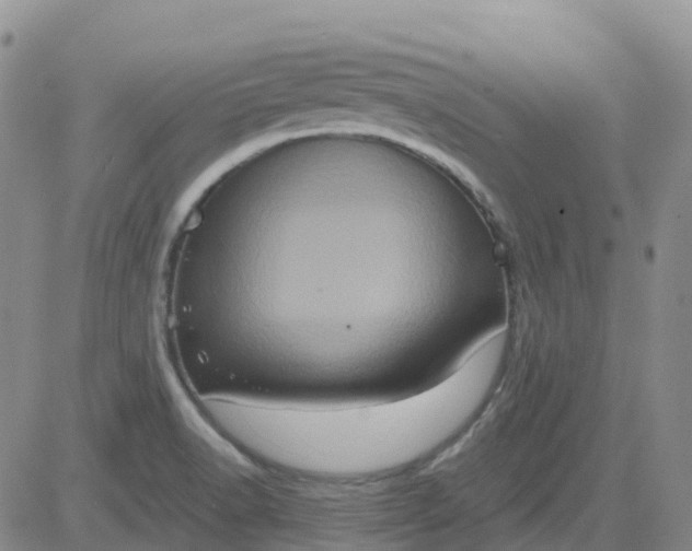 X0000084021518200703022044