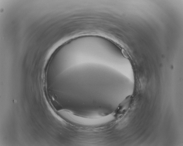 X0000084021519200703022044