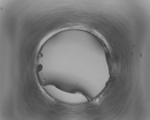 X0000084021520200703022044