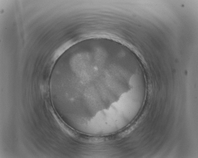 X0000084021521200703022044