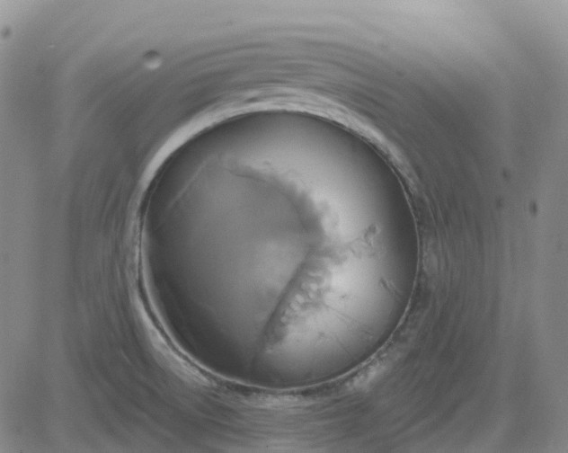 X0000084021522200703022044