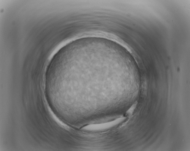 X0000084021523200703022044