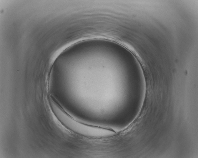 X0000084021524200703022044