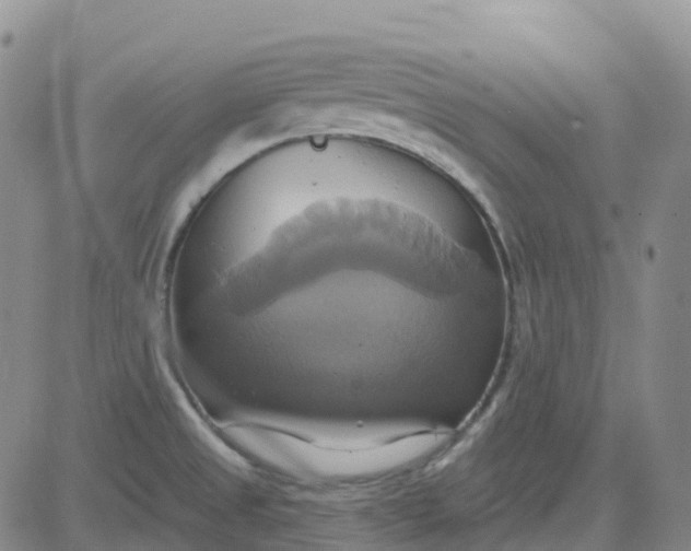 X0000084021525200703022044