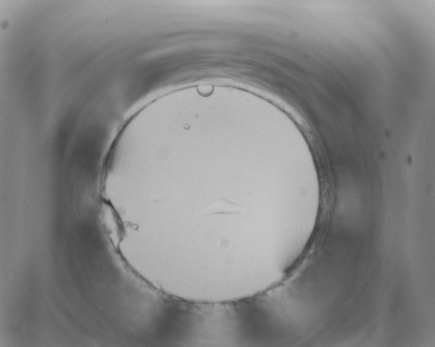 X0000084021526200703022044