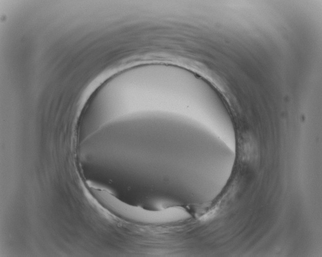 X0000084021527200703022044