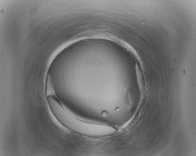 X0000084021528200703022044