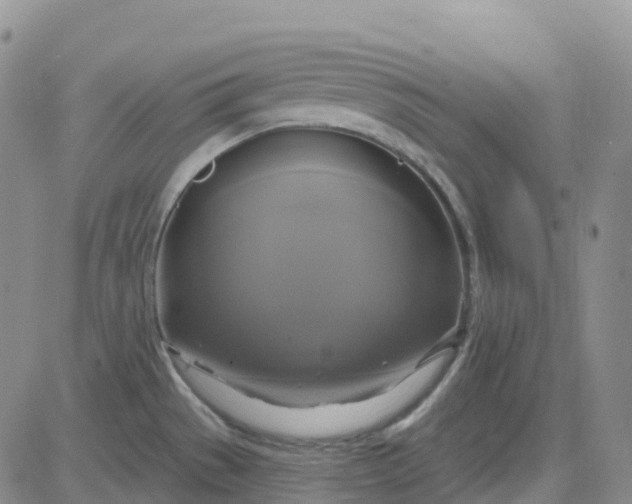 X0000084021529200703022044