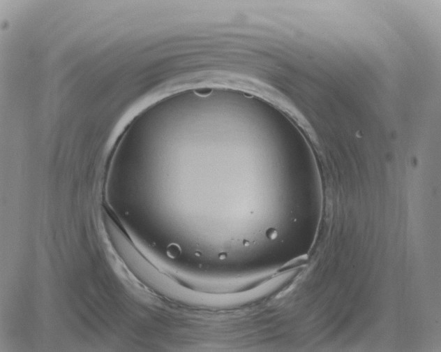 X0000084021530200703022044