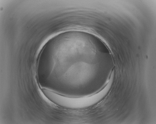 X0000084021531200703022044