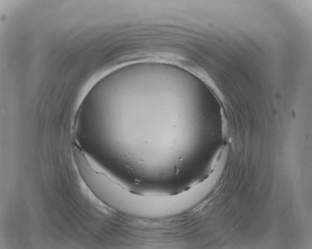 X0000084021532200703022044