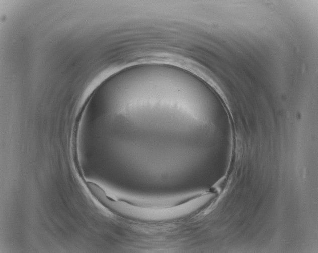 X0000084021533200703022044