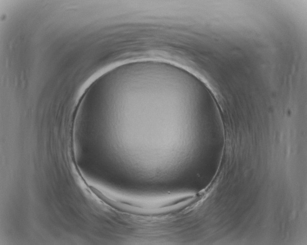 X0000084021534200703022044