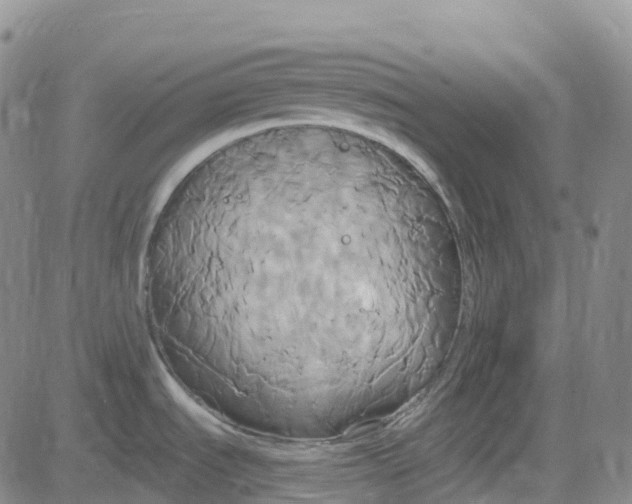 X0000084021535200703022044