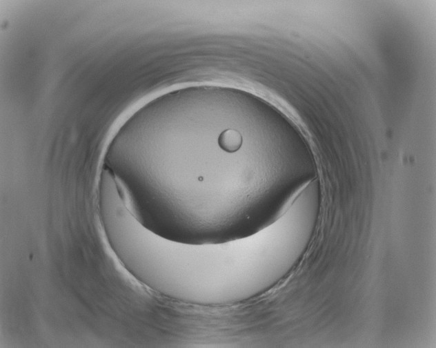 X0000084021536200703022044