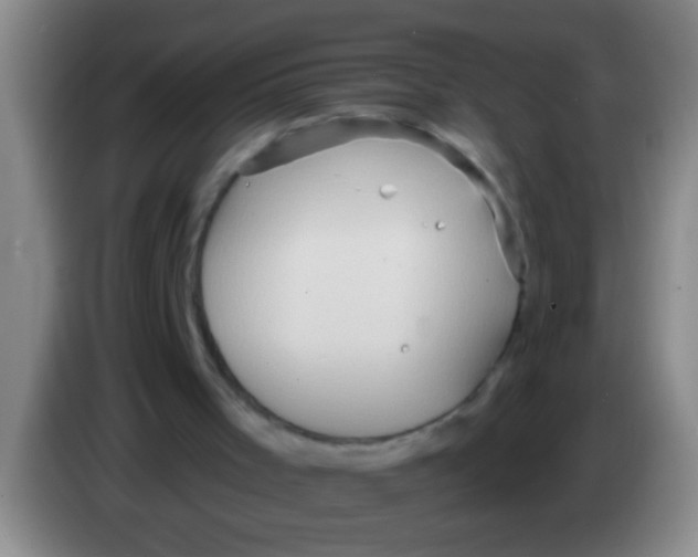 X0000084020001200703091957