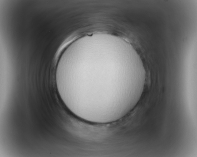 X0000084020004200703091957