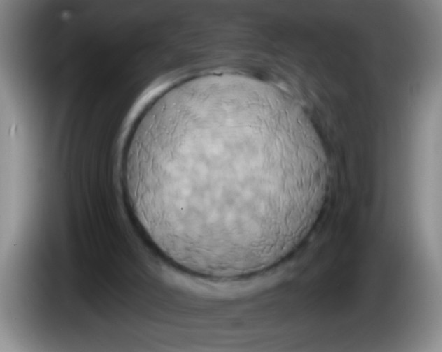 X0000084020006200703091957