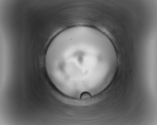 X0000084020010200703091957