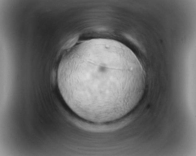 X0000084020014200703091957