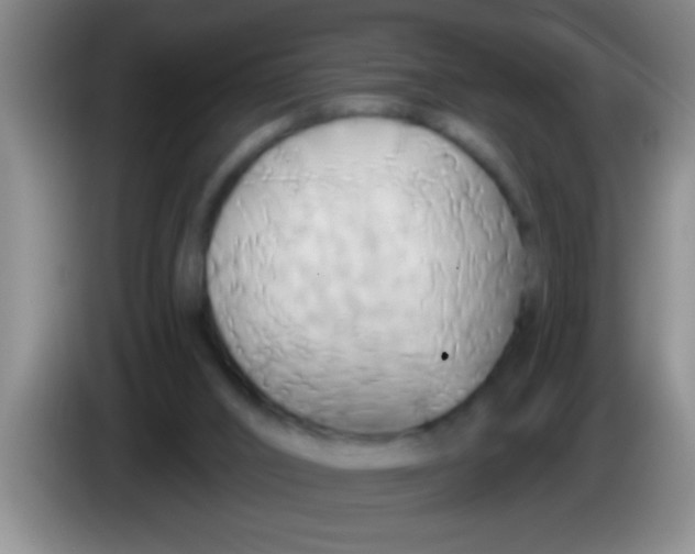 X0000084020016200703091957