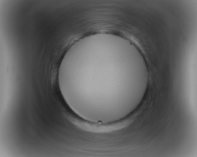 X0000084020018200703091957