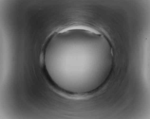 X0000084020020200703091957