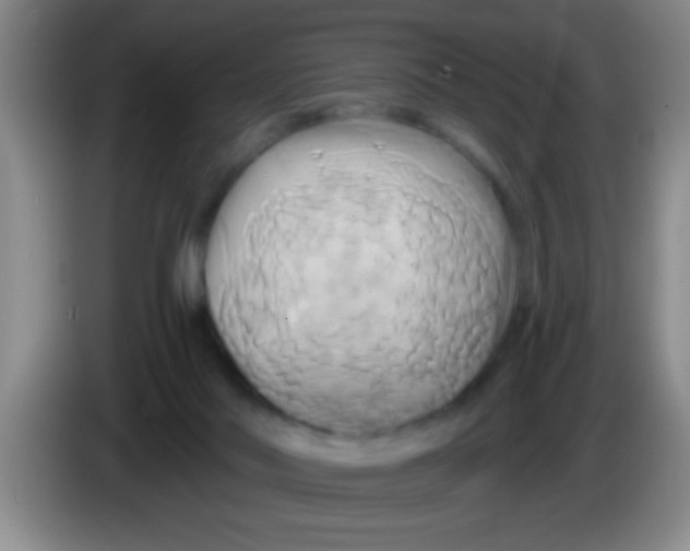 X0000084020022200703091957