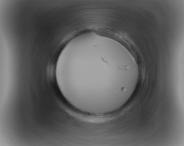 X0000084020024200703091957