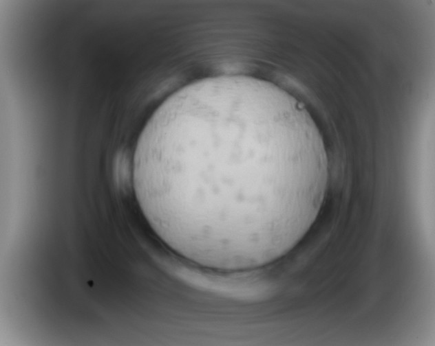 X0000084020028200703091957