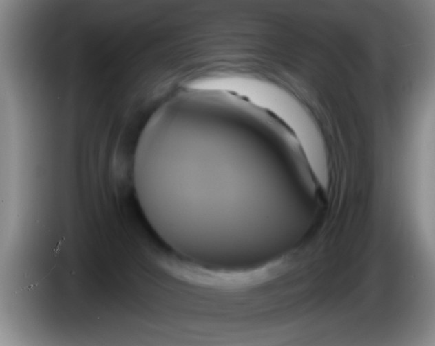 X0000084020031200703091957