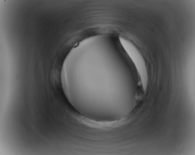 X0000084020035200703091957