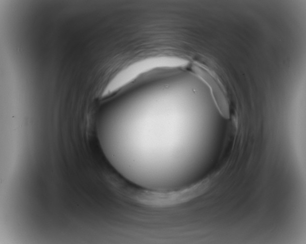 X0000084020037200703091957