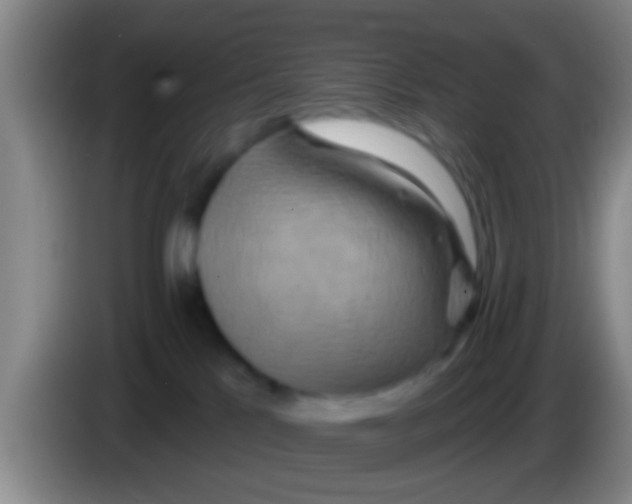 X0000084020041200703091957