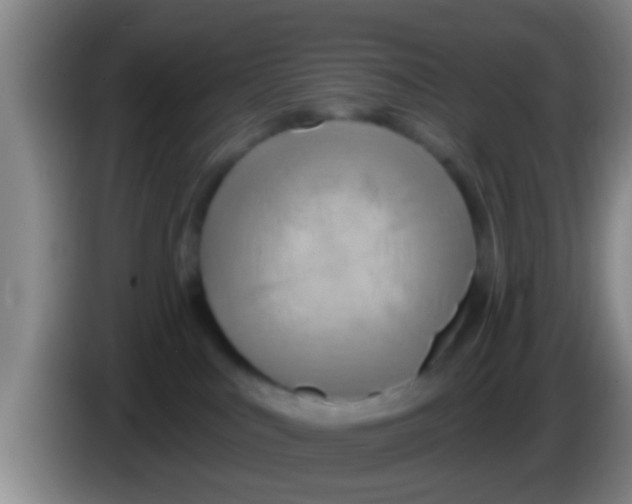 X0000084020043200703091957