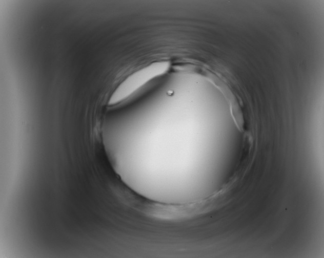 X0000084020045200703091957