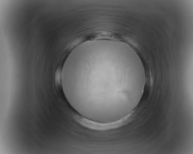 X0000084020047200703091957